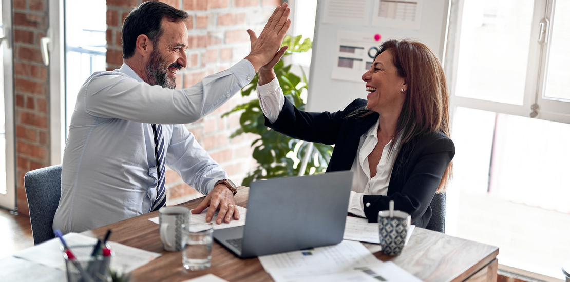 Business Intelligence Adviser