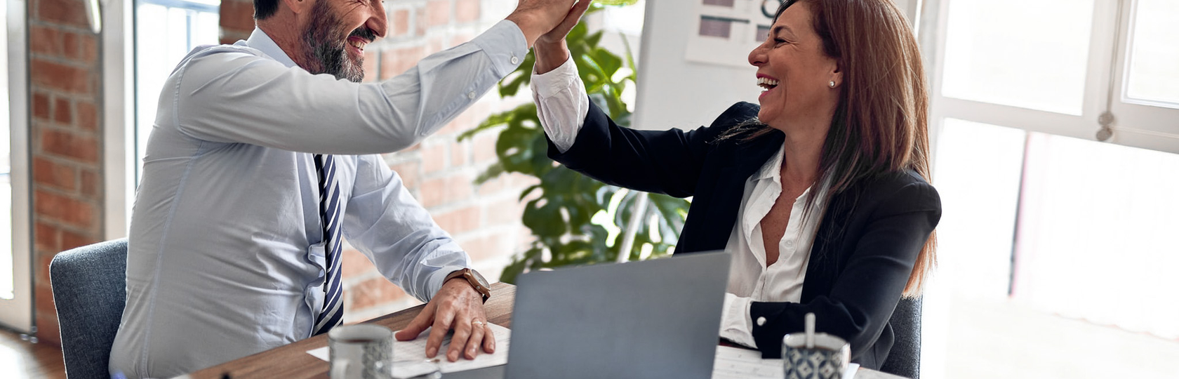 Business Intelligence Adviser