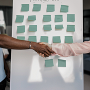 Business Intelligence Adviser