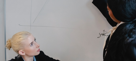 Business Intelligence Adviser