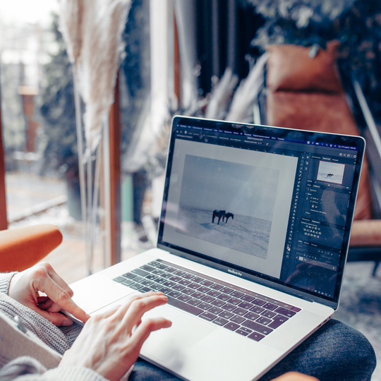 Business Intelligence Adviser